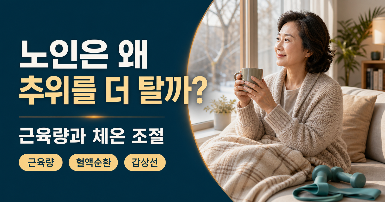 노인이 추위를 더 많이 타는 이유와 근육량 체온 조절 관계 설명 이미지