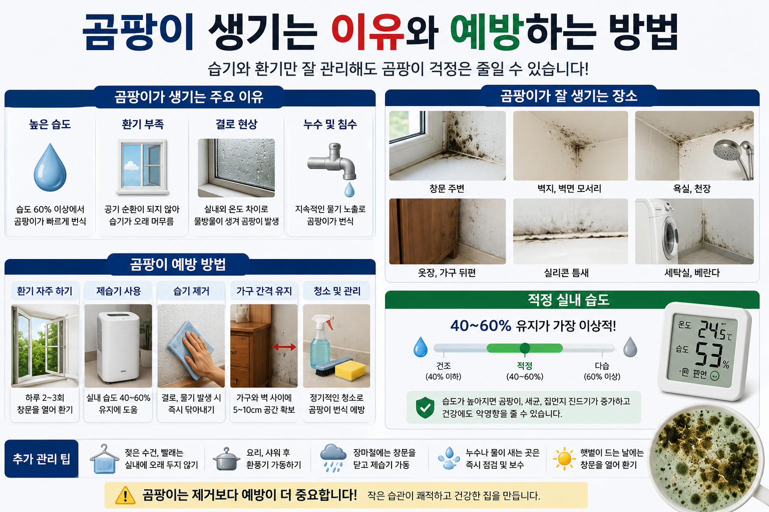 곰팡이 생기는 이유와 예방하는 방법, 집안 습기 관리의 핵심