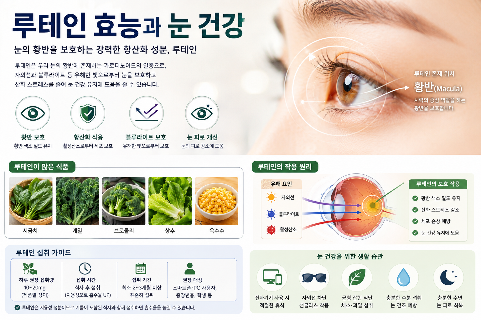 루테인 효능과 눈 건강, 정말 눈에 도움이 될까? 효과와 복용법 총정리
