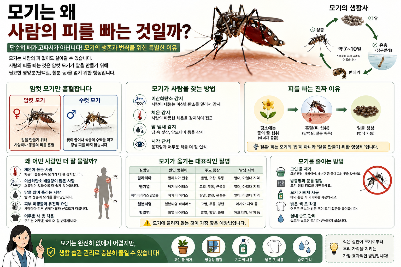 모기는 왜 사람의 피를 빠는 것일까? 의외로 많은 사람이 오해하는 진실