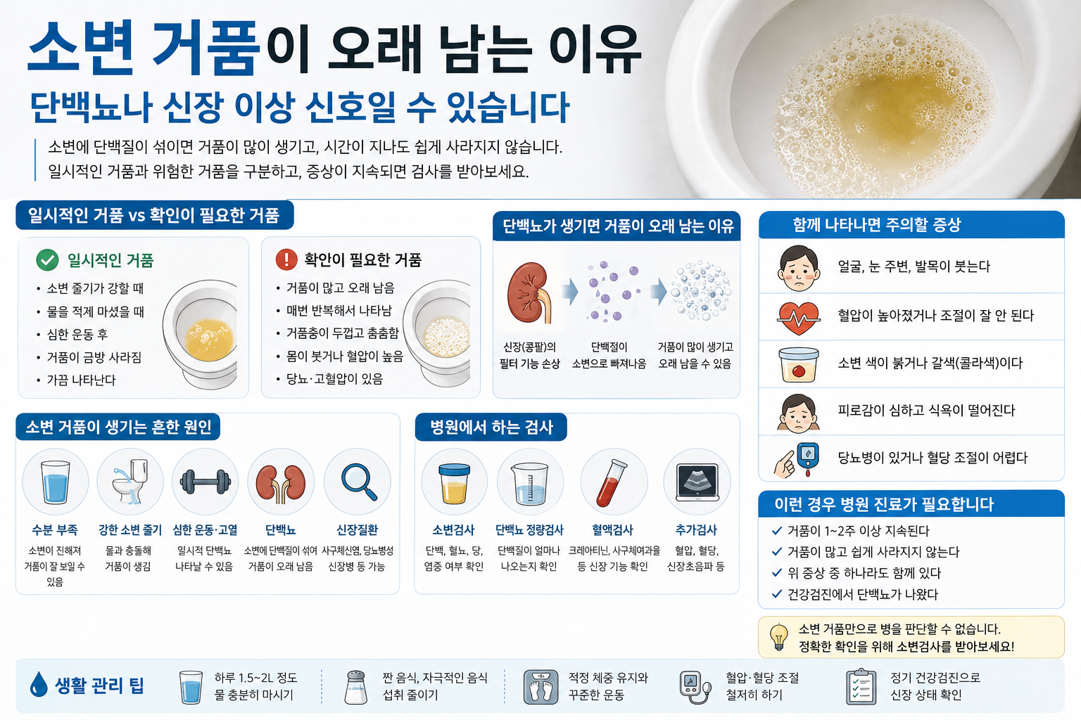 소변 거품이 오래 남는 이유, 단백뇨와 신장 이상 신호일까?