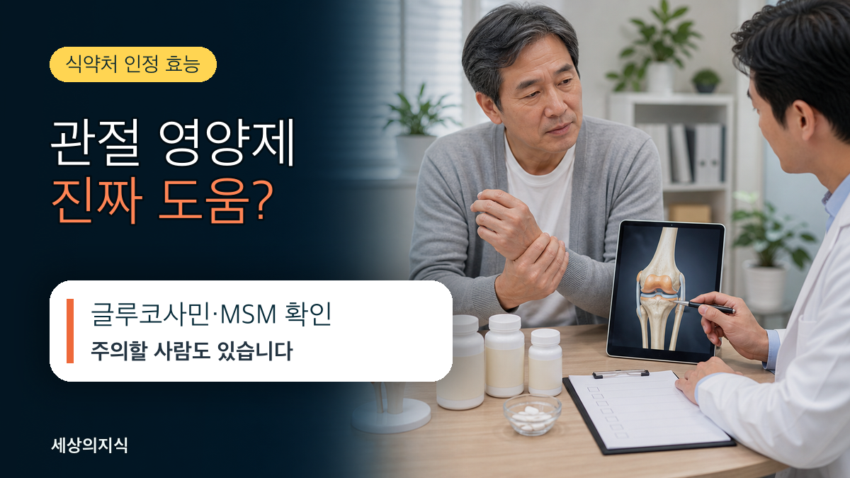 관절 영양제(글루코사민·콘드로이친·MSM), 식약처가 인정한 효능과 주의할 점