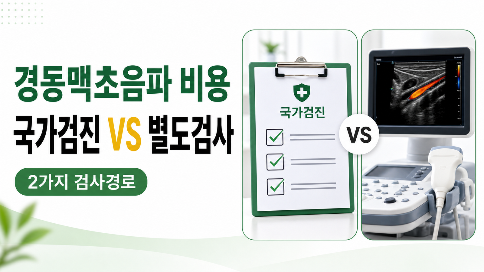 경동맥초음파 비용과 국가검진·별도검사 차이를 설명하는 썸네일