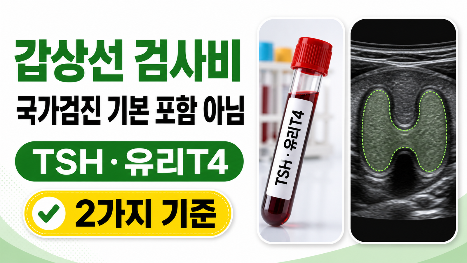 갑상선 검사비는 국가검진 기본 포함이 아니며 TSH·유리T4와 2가지 기준을 확인하는 썸네일