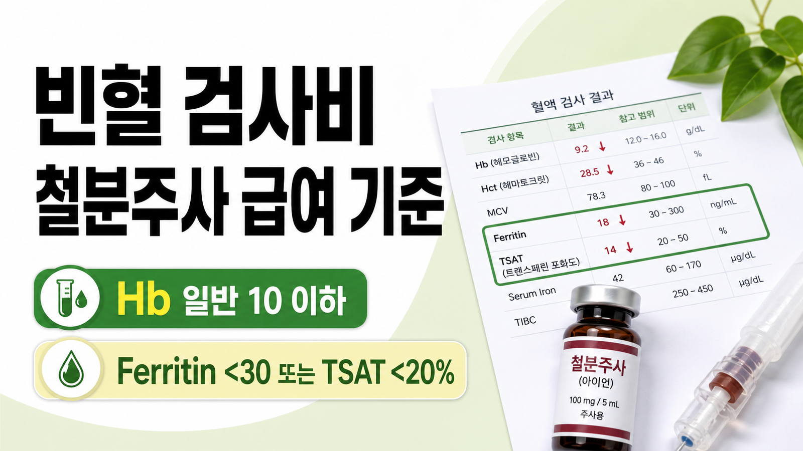 빈혈 혈액검사와 철분주사 급여 기준 Hb 10 Ferritin 30 TSAT 20을 설명하는 썸네일