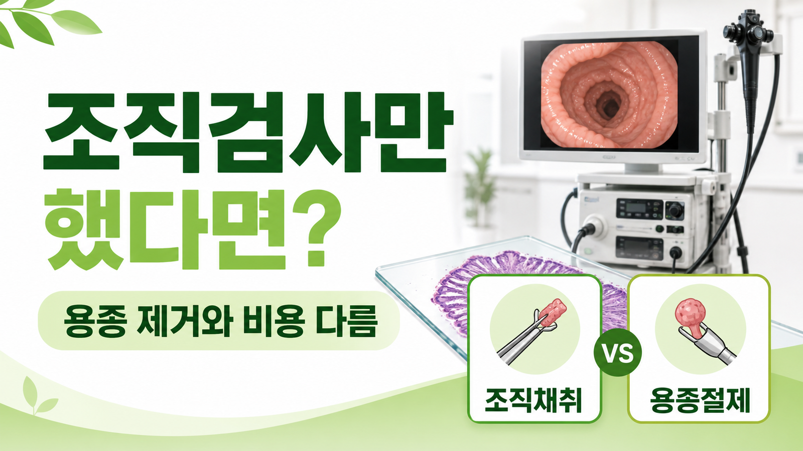 대장내시경 조직검사와 용종 제거 비용 차이를 설명하는 썸네일