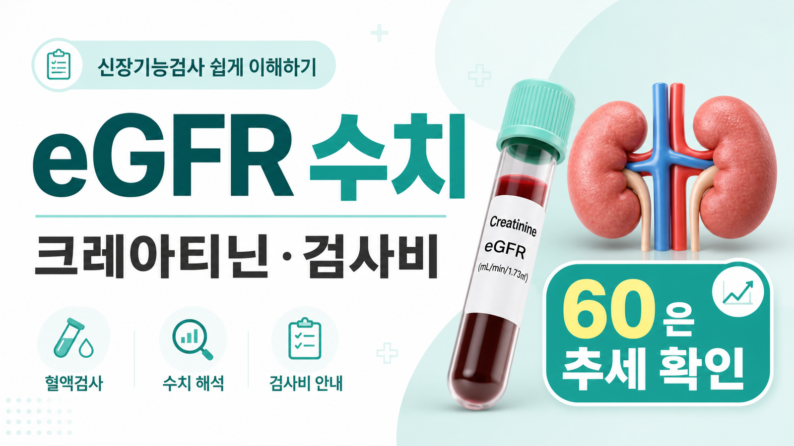 크레아티닌과 eGFR 신장기능검사 수치 및 검사비 기준 썸네일