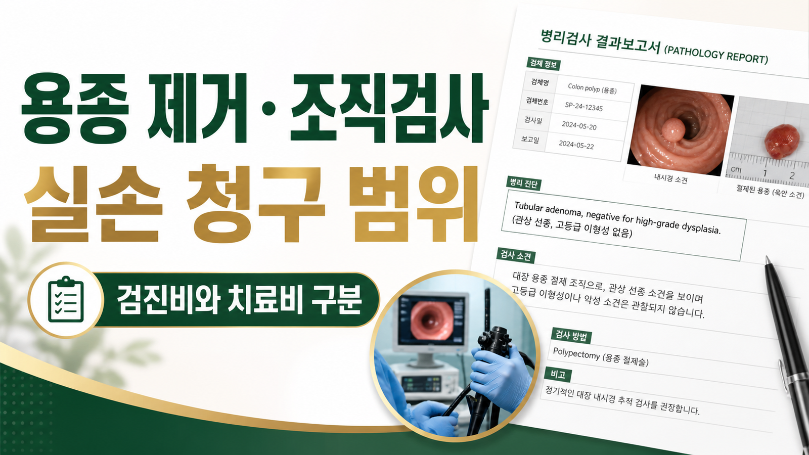 대장내시경 용종 제거 후 조직검사 결과, 실손보험 청구 가능 범위 핵심 기준과 확인 절차 썸네일