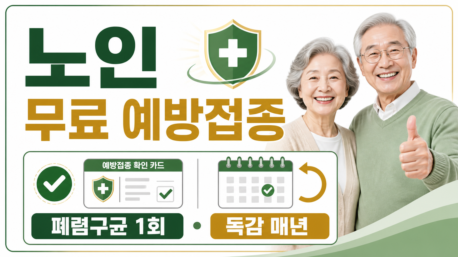 노인 무료 예방접종, 폐렴구균·독감 대상과 접종기관