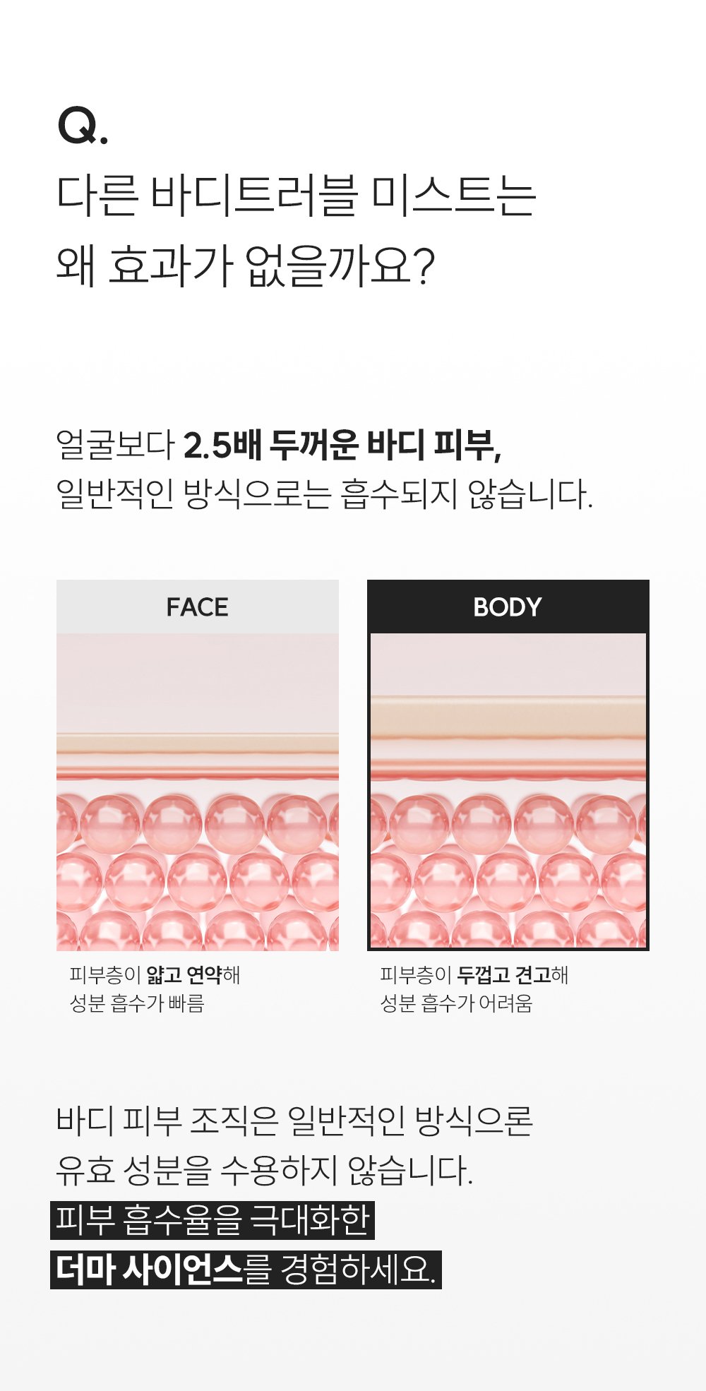 바디 피부와 얼굴 피부의 흡수 차이를 설명하는 상품 이미지