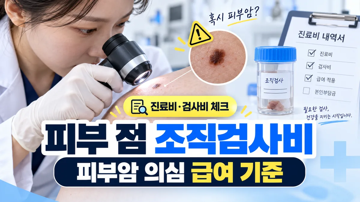 피부 점 조직검사비, 피부암 의심 시 급여 기준