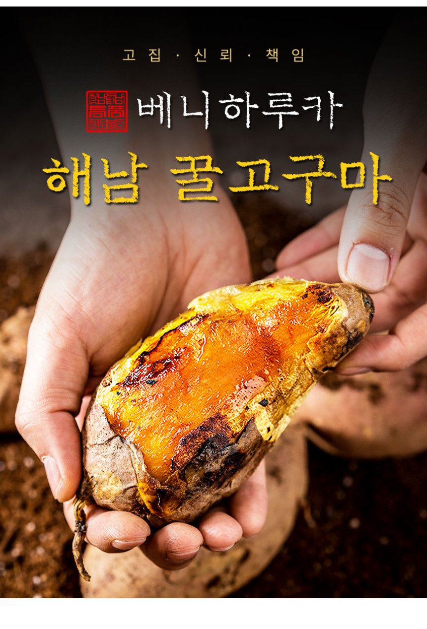 본문 이미지 1