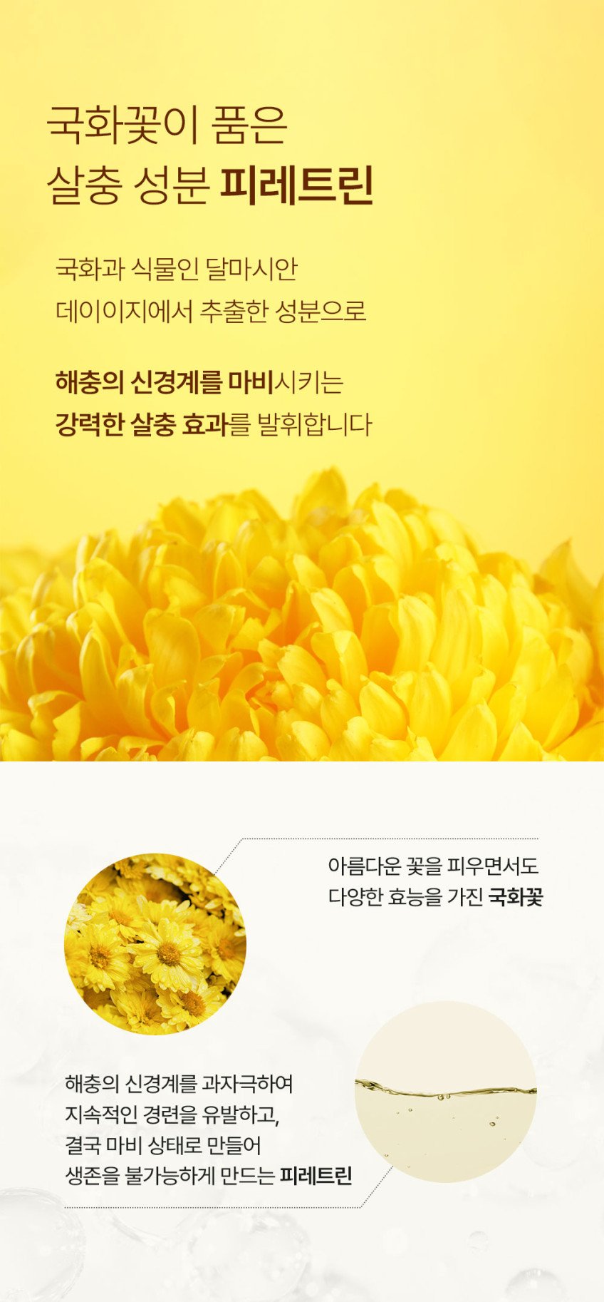 본문 이미지 2
