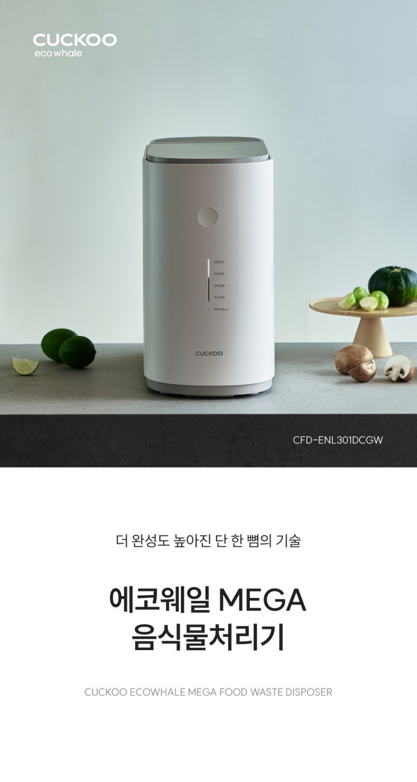 본문 이미지 1
