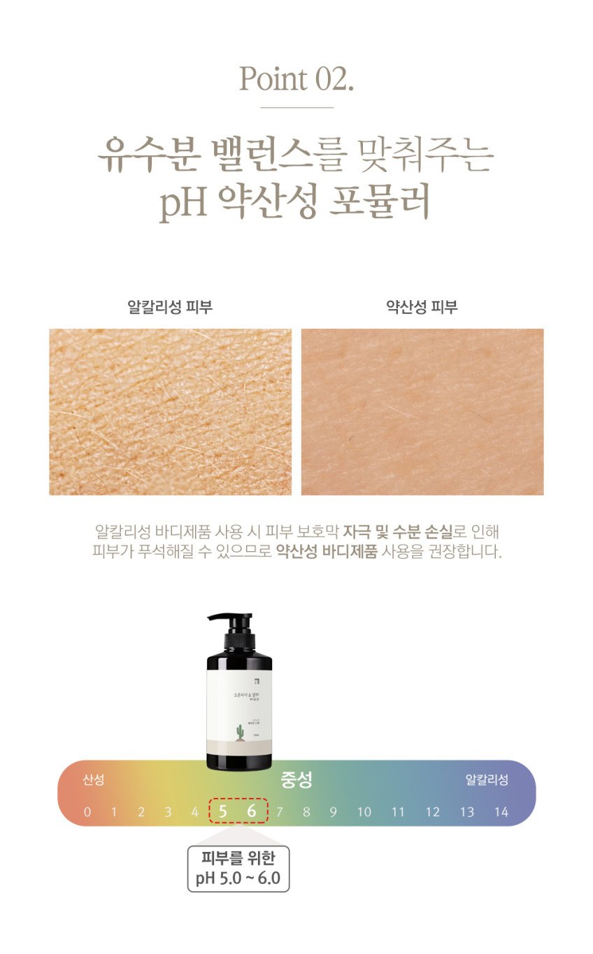 본문 이미지 2