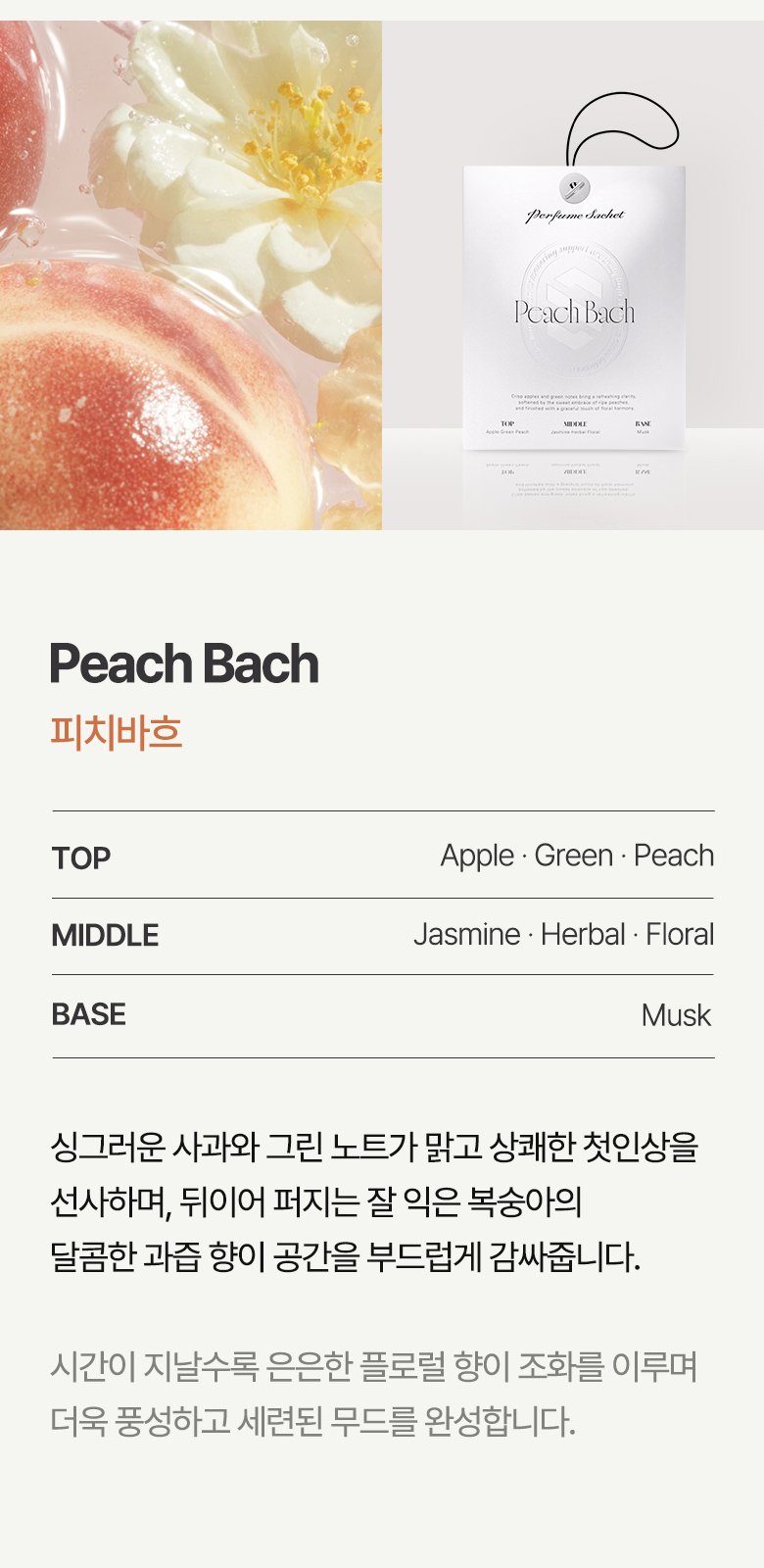 본문 이미지 2