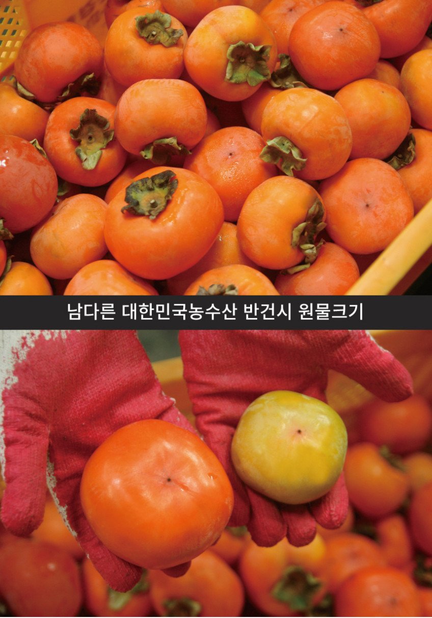 본문 이미지 1