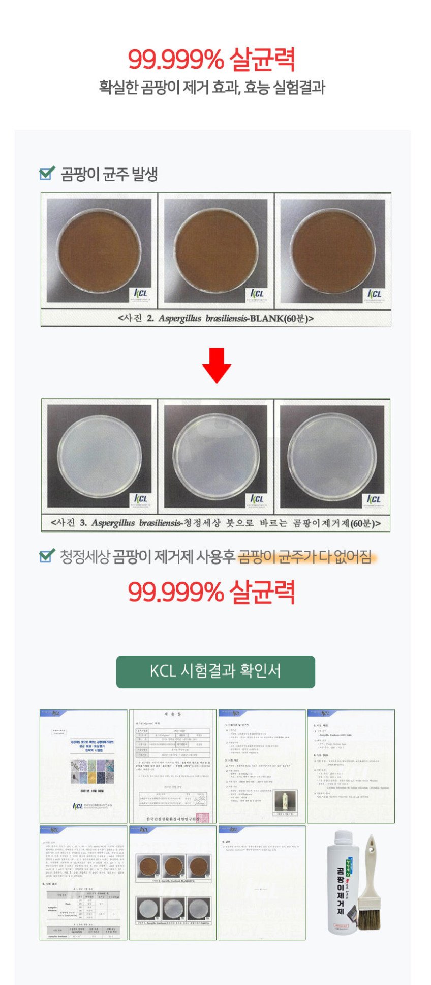 본문 이미지 3