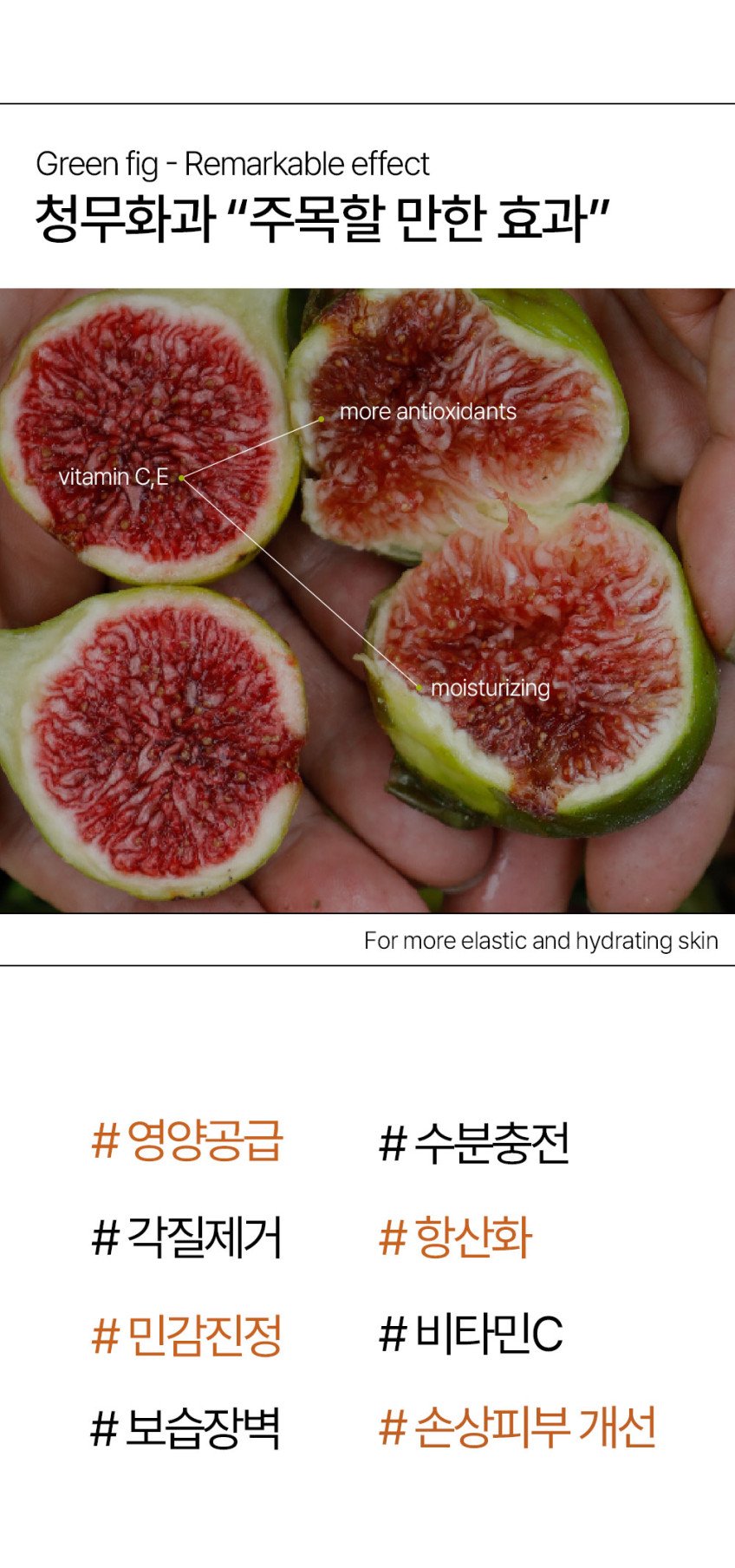 본문 이미지 1