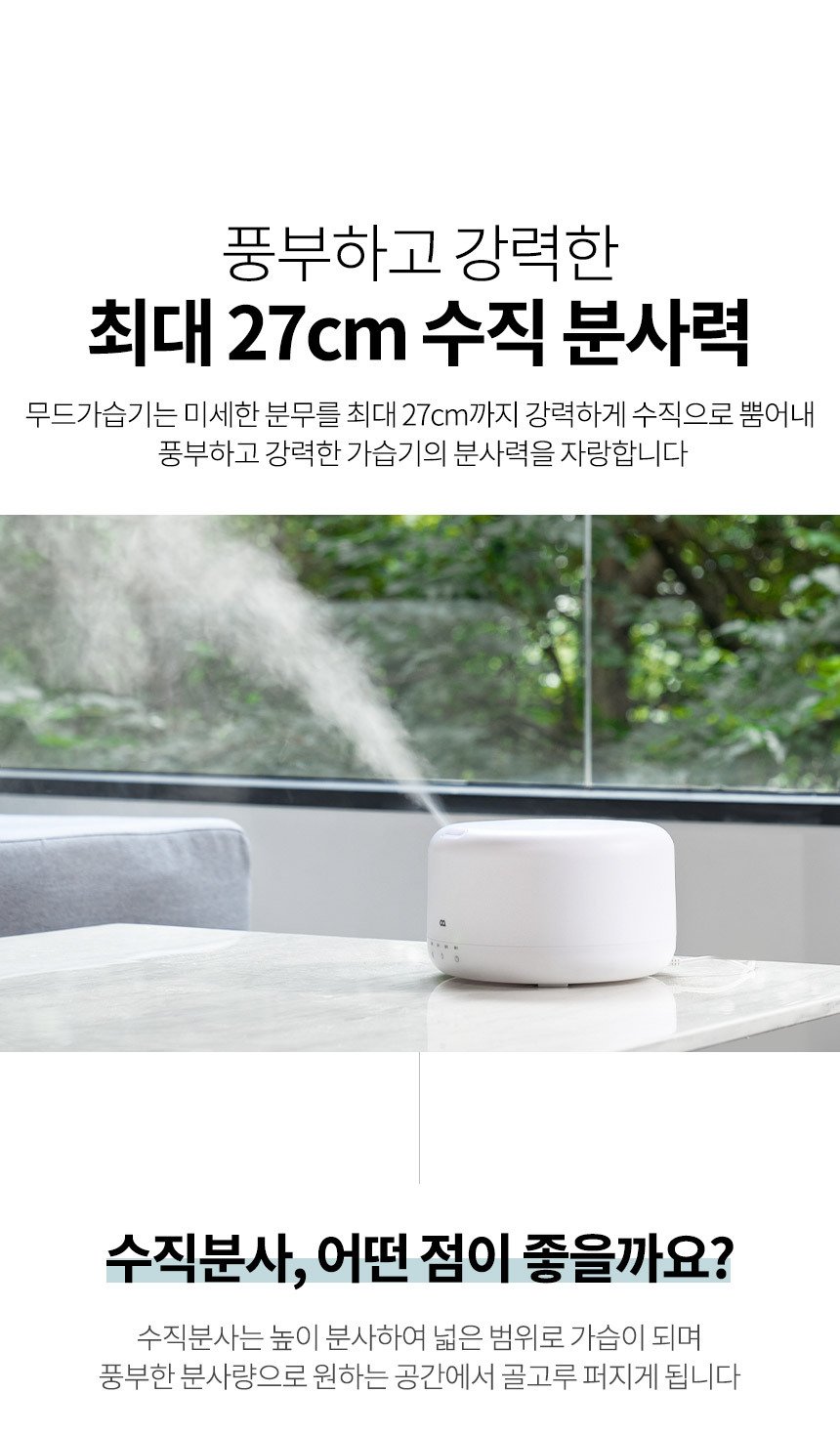 본문 이미지 2