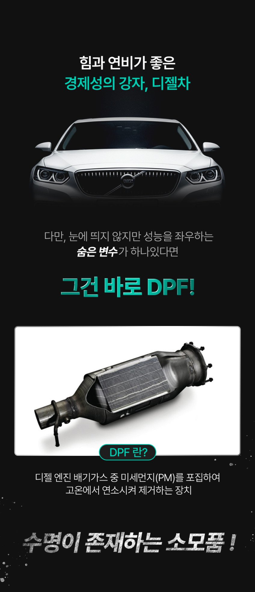 본문 이미지 1