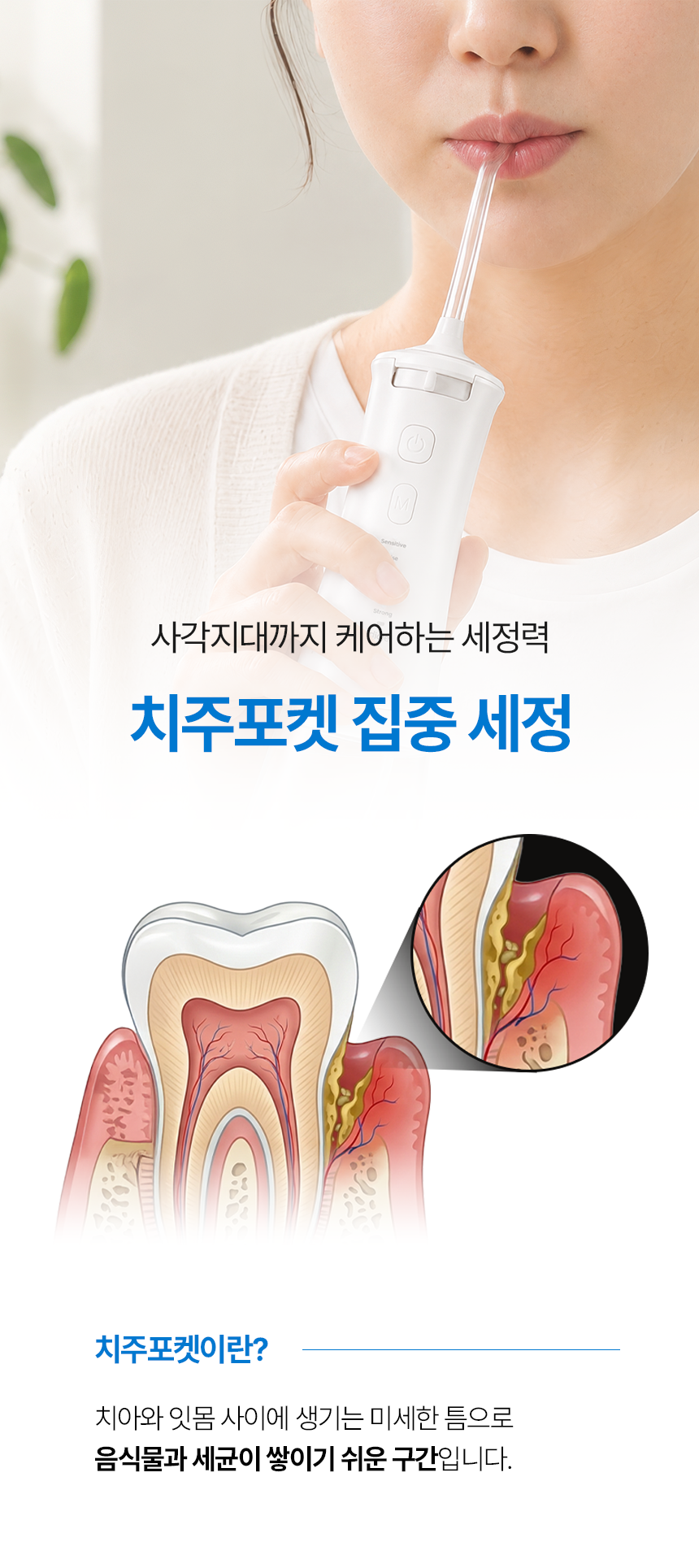 본문 이미지 2