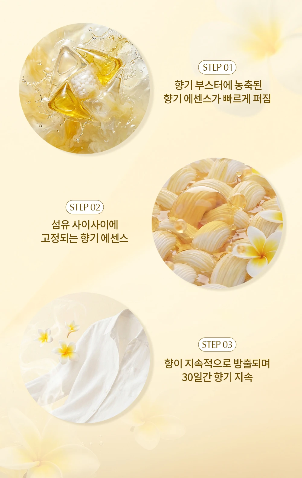 본문 이미지 4