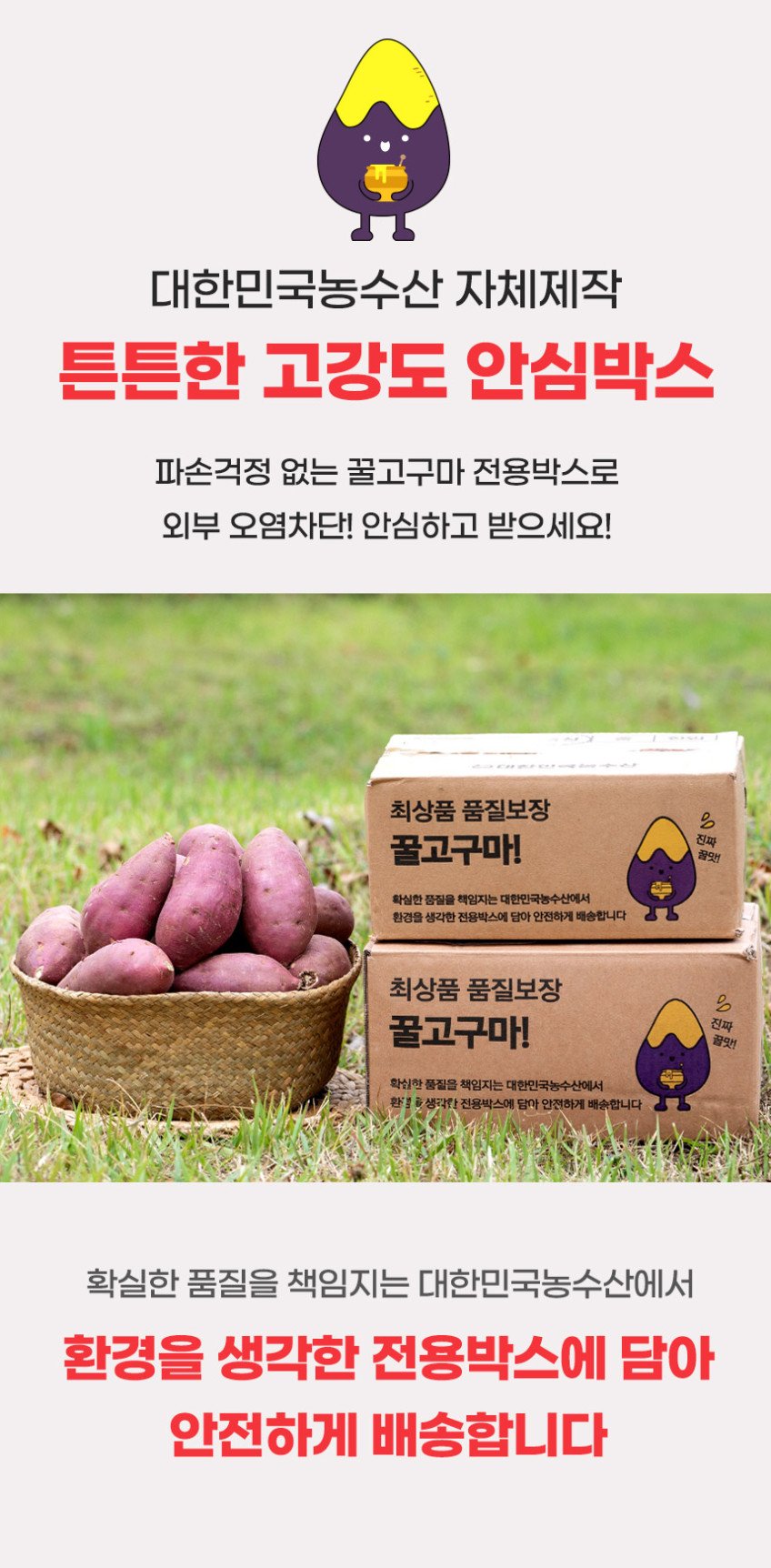 해남 고구마 꿀고구마 한입3kg 베니하루카, 알아두면 좋은 구매 포인트