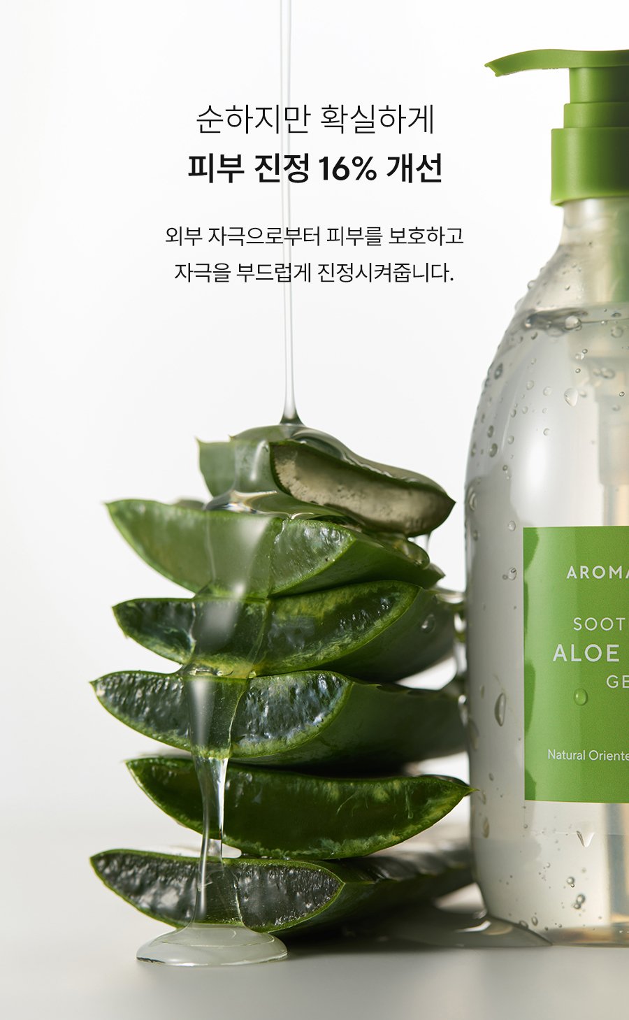 본문 이미지 2