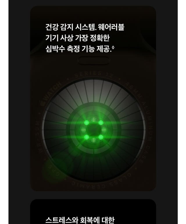 본문 이미지 4