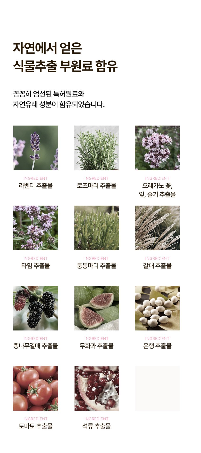 본문 이미지 2