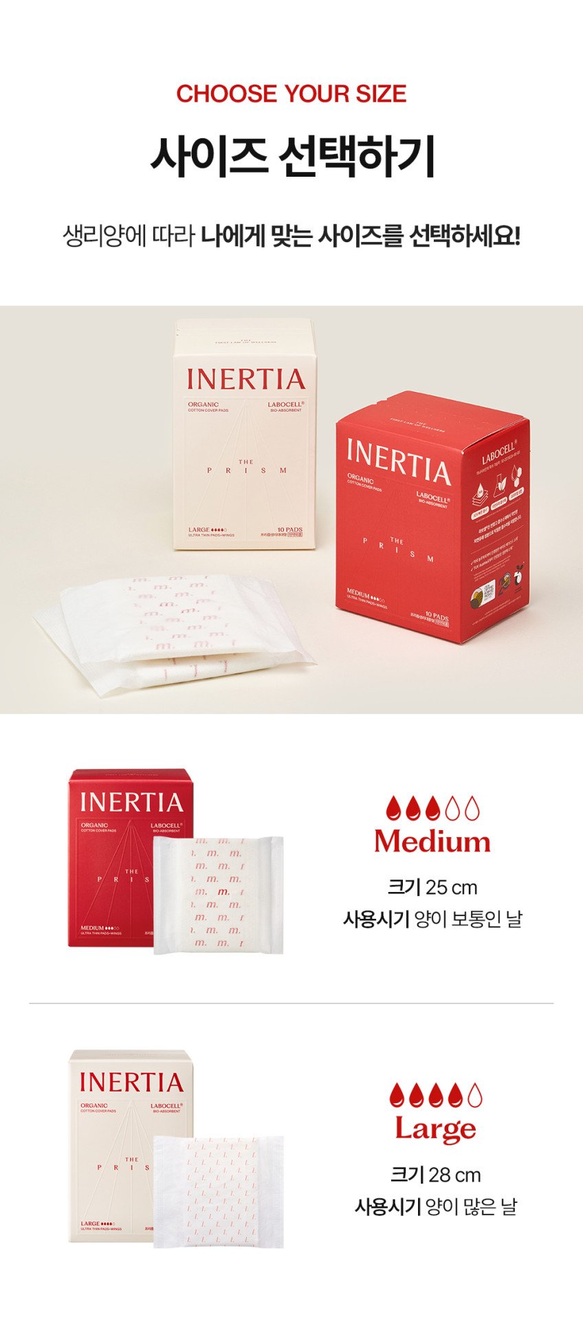 본문 이미지 2