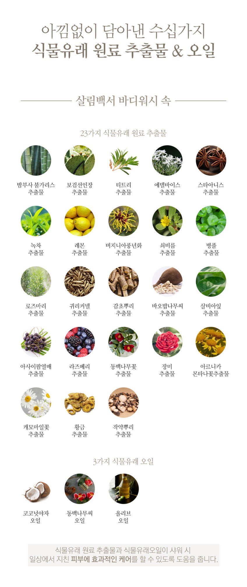 본문 이미지 1