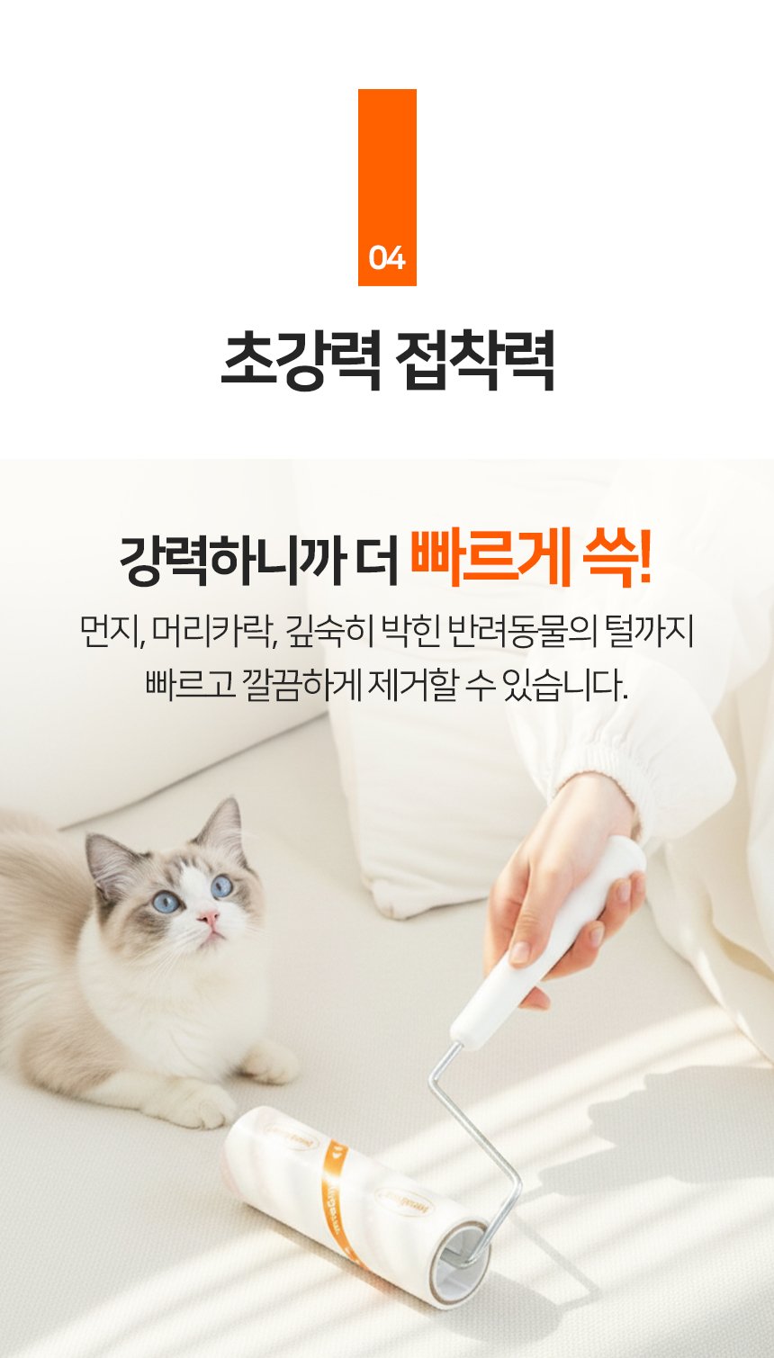 본문 이미지 2