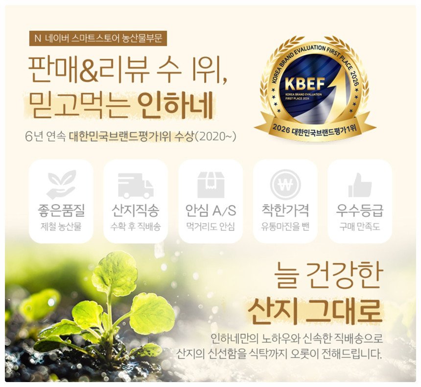본문 이미지 2