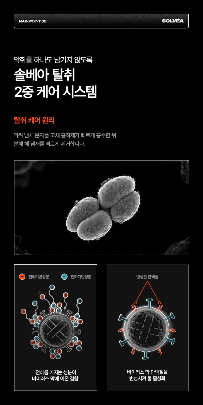 본문 이미지 4