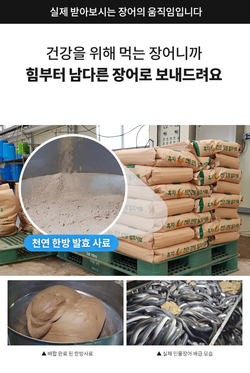 본문 이미지 1