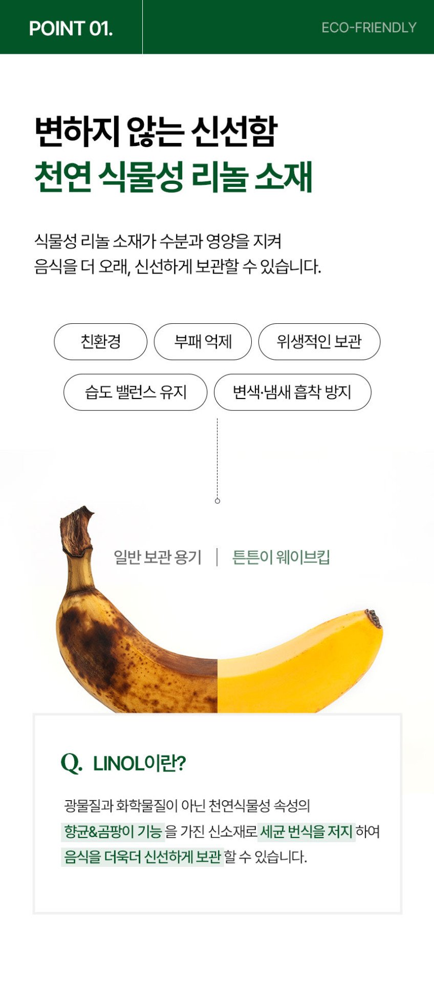 본문 이미지 1