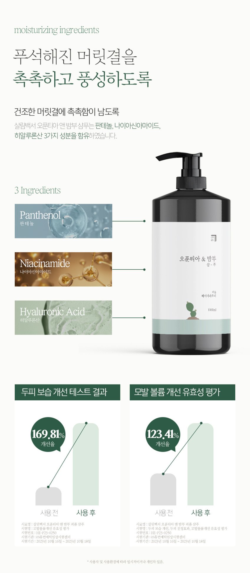 본문 이미지 3