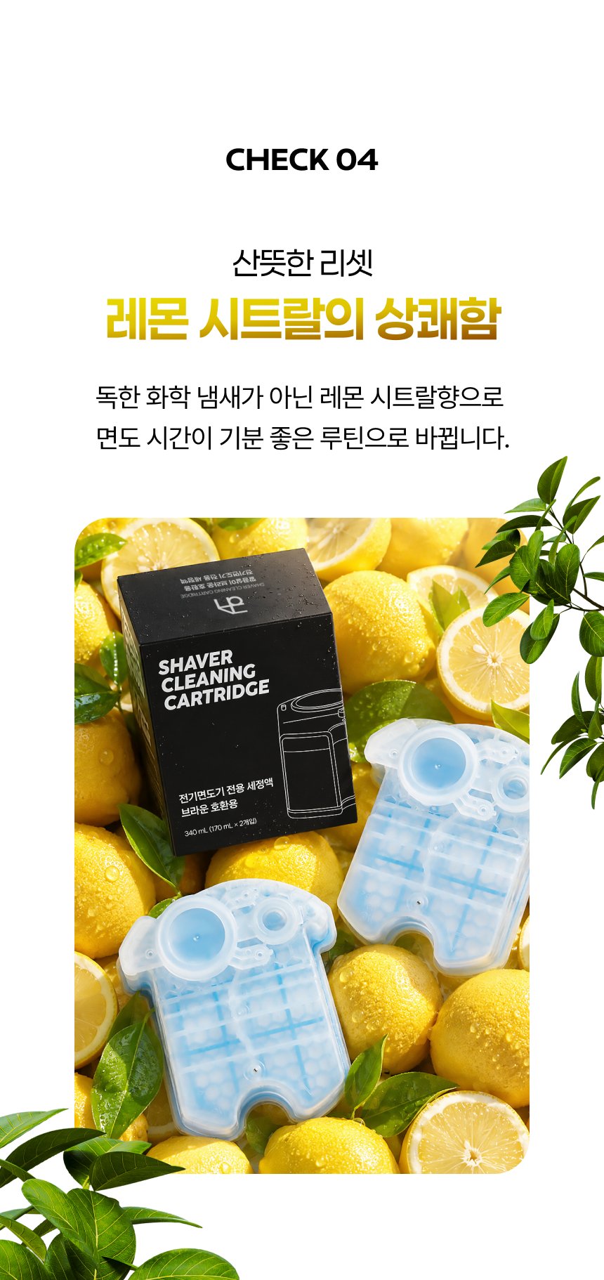 본문 이미지 2