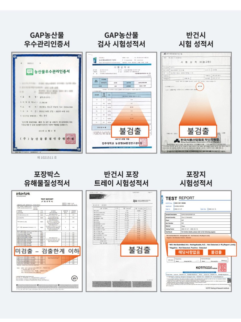 본문 이미지 2
