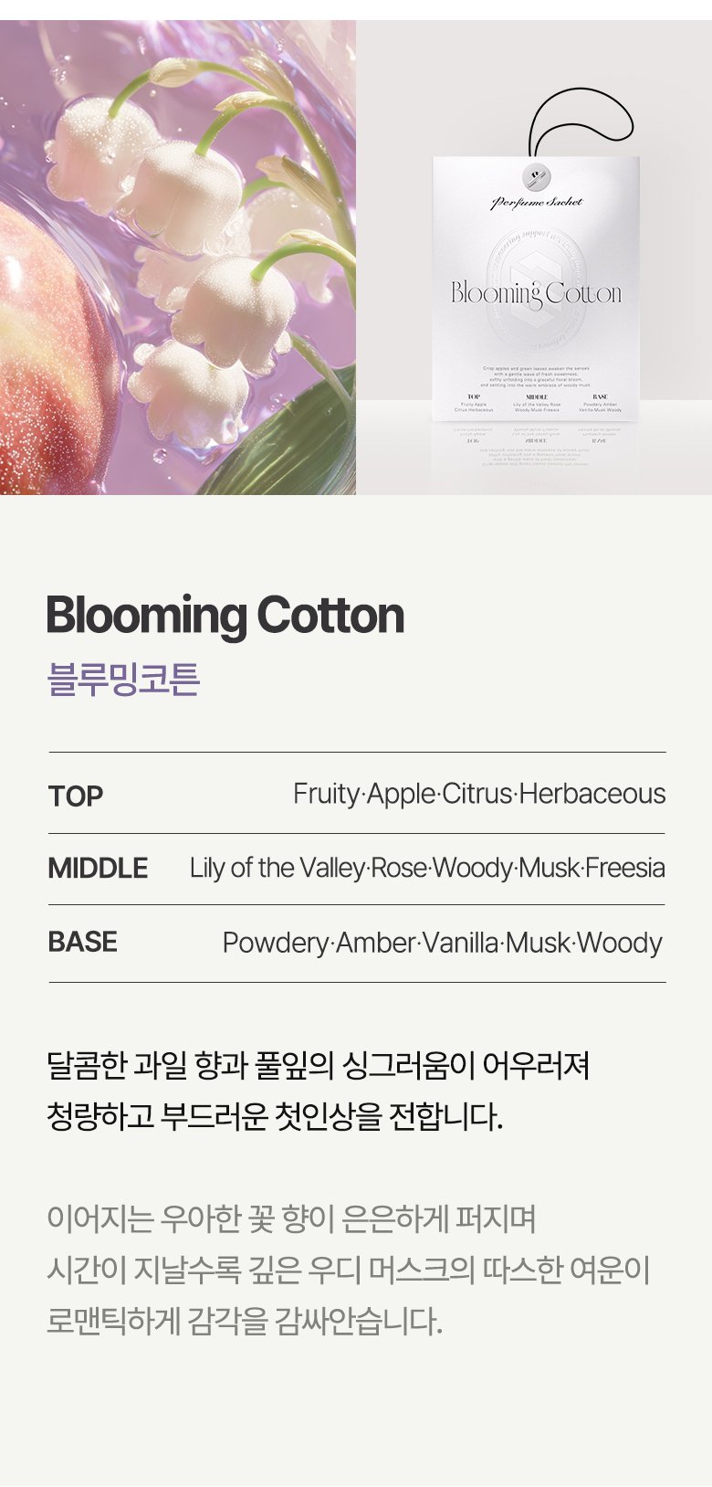 본문 이미지 1