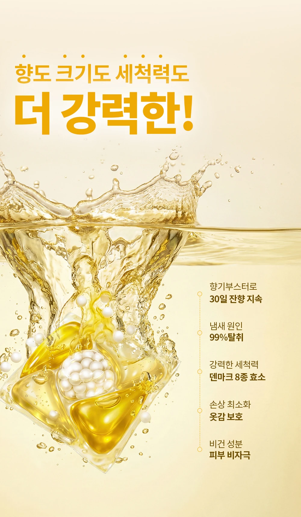 본문 이미지 2