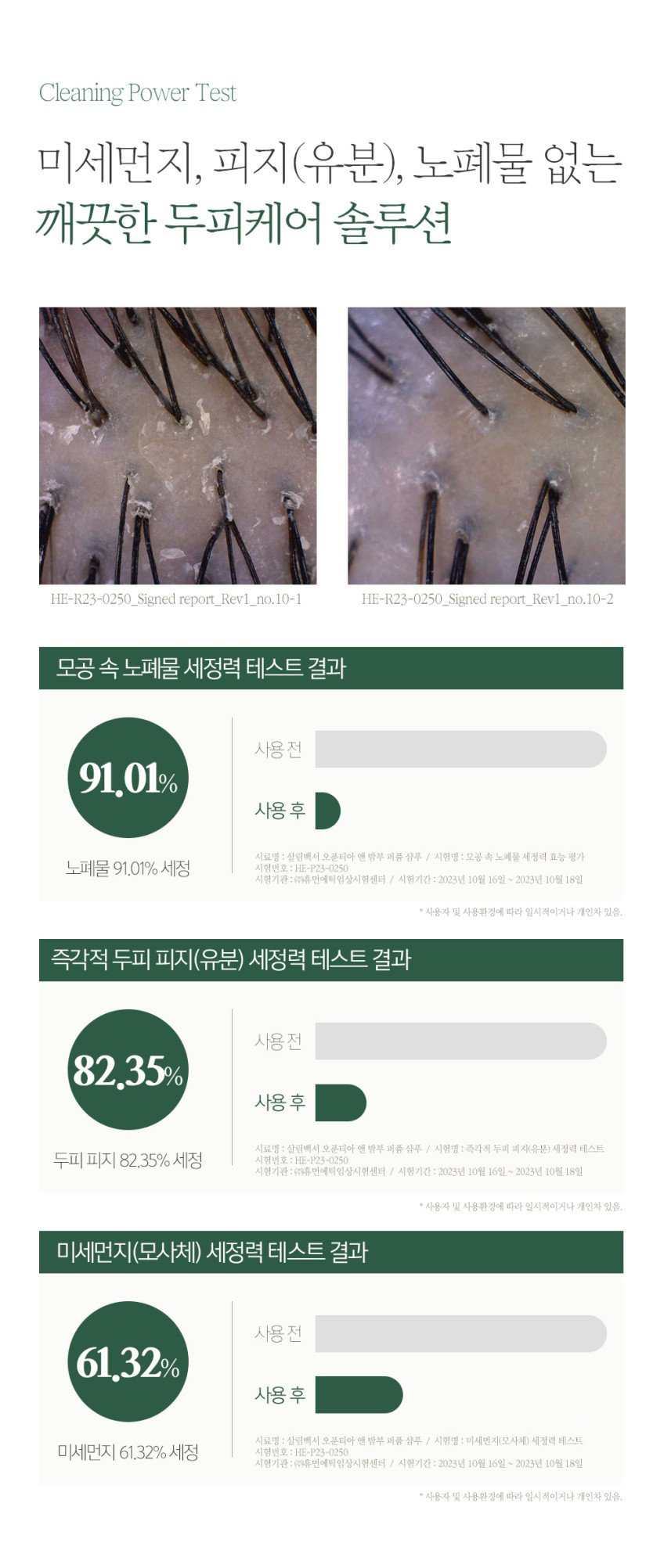 본문 이미지 2