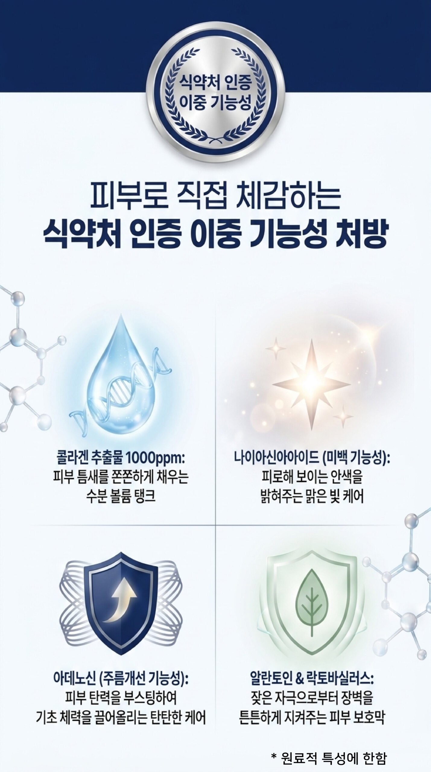 본문 이미지 4